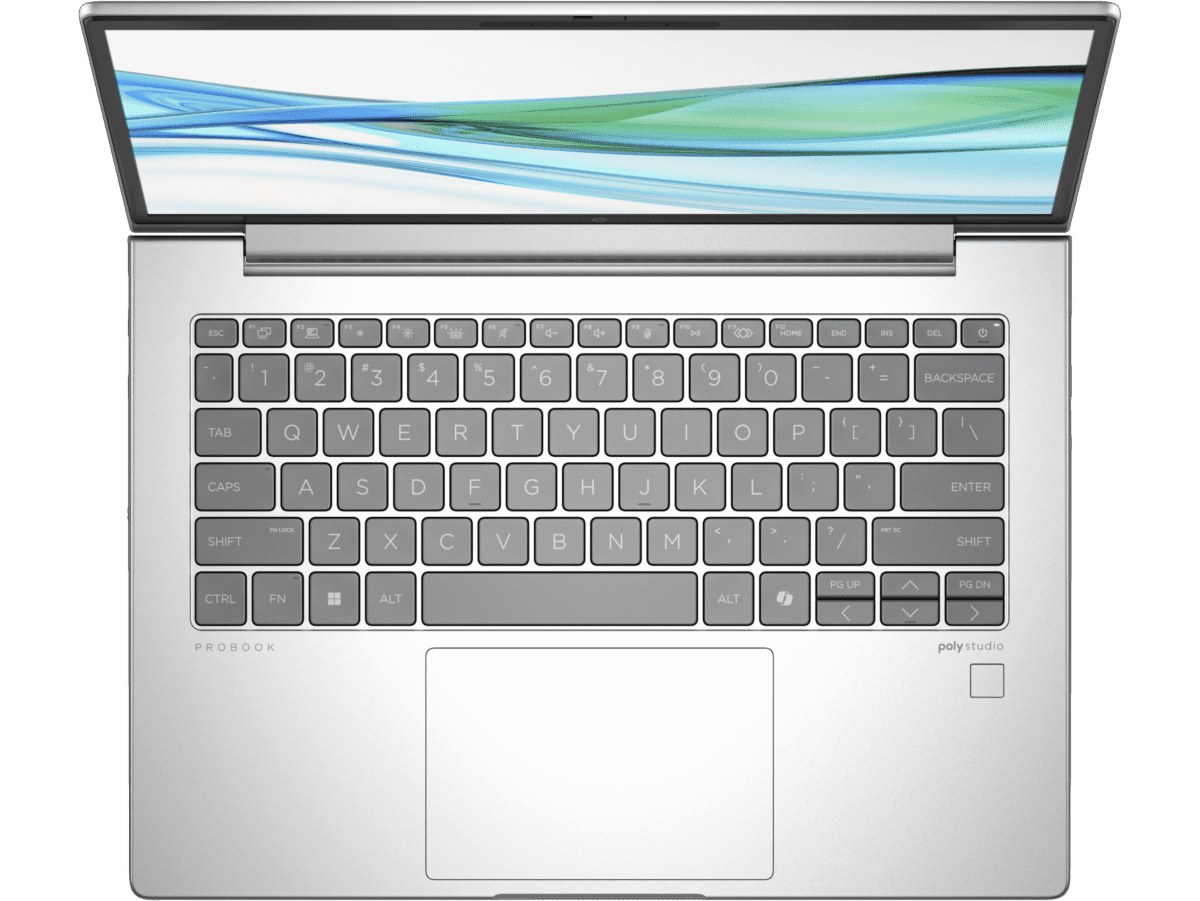 Notebook HP ProBook 445 G11, 14